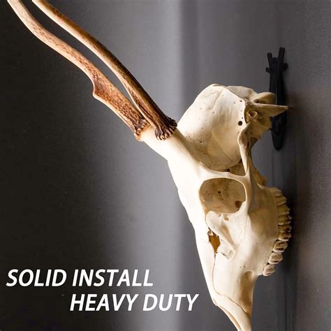 elk skull hook|skull hooker deer mount.